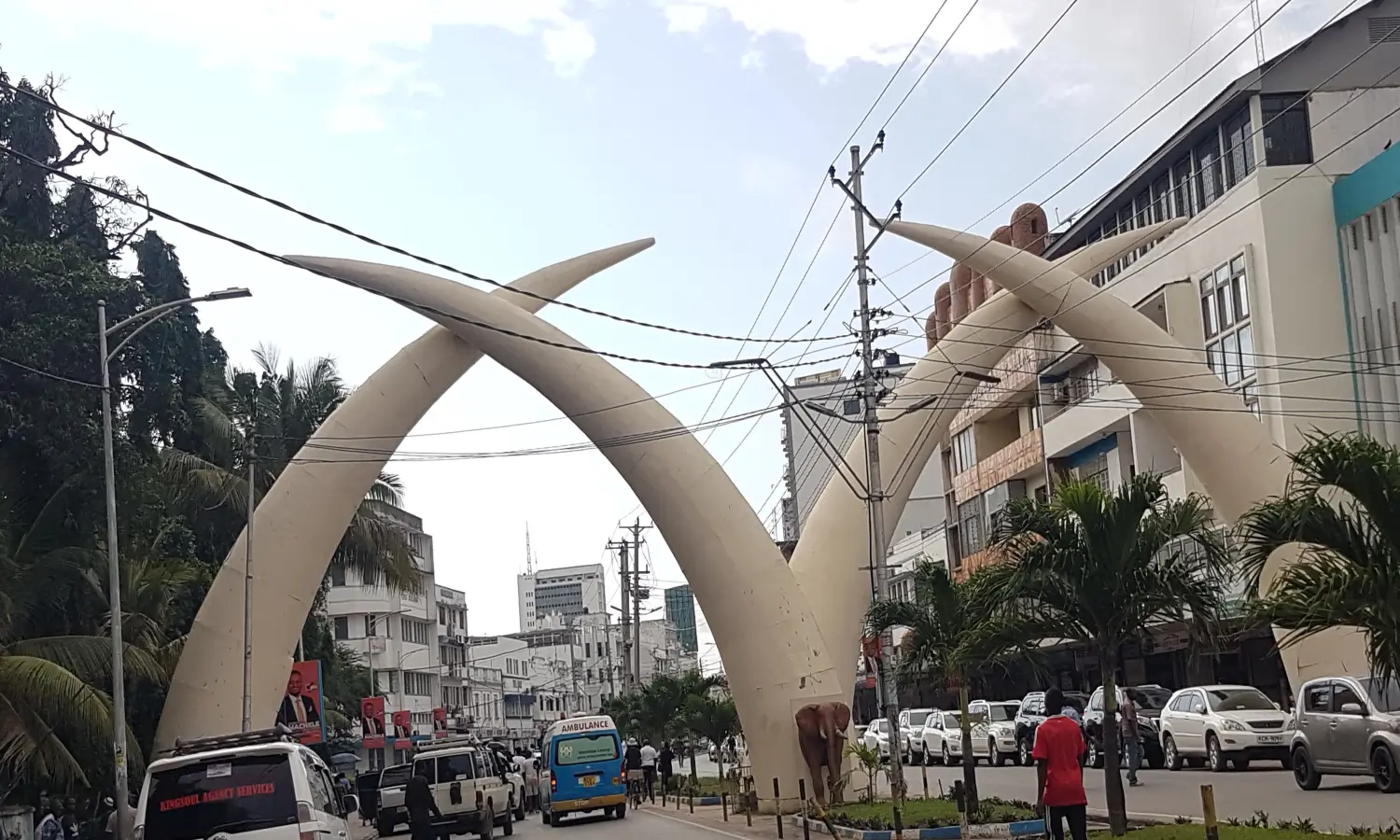 Mombasa Tusks